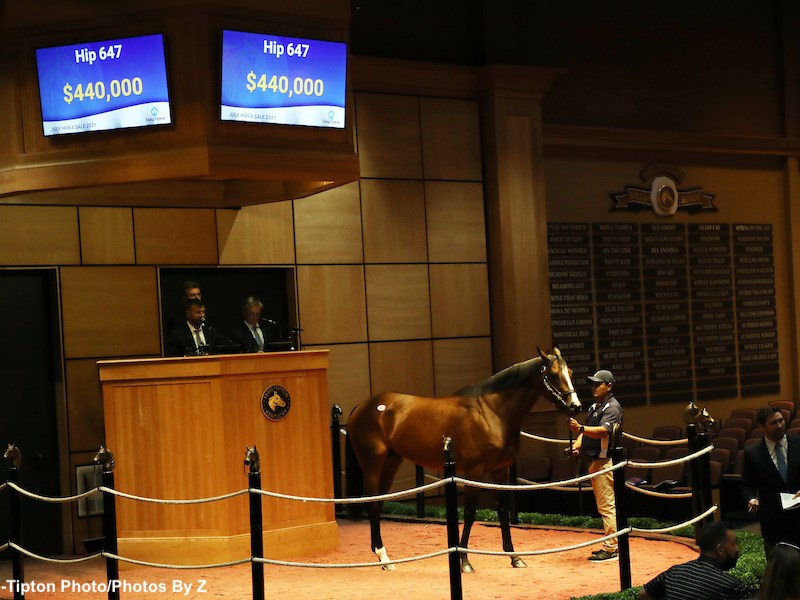 Grant and Elkstone Group Jump into the Fray Early at Fasig-Tipton&nbsp;July